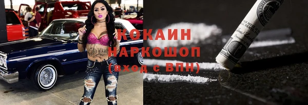 spice Инта