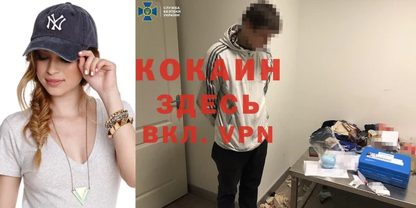 стаф Инсар