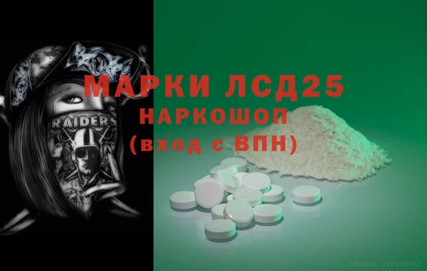 spice Инта