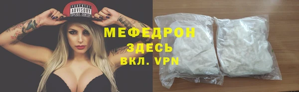 spice Инта