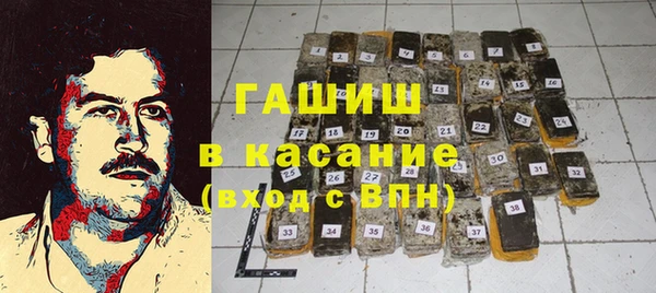 spice Инта