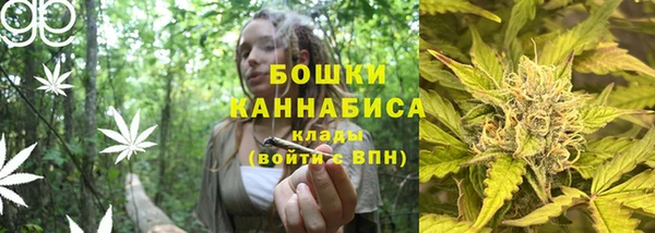 стаф Инсар