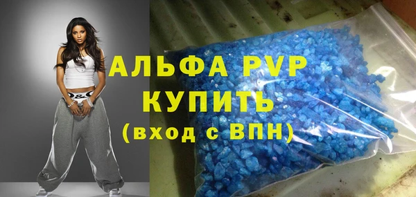 spice Инта