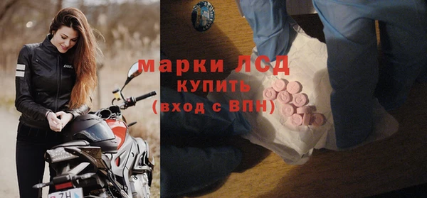 крисы Каменногорск